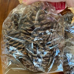 Pottery barn frosted pinecones 3 bags of them